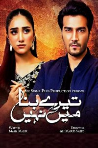 ������ � ������ ��� ���� ��� ���� / Tere Bina Mein Nahi (�� ������� �����)