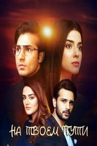 ������ � ������ �� ����� ���� / Teri Rah Mein (�� ������� �����)