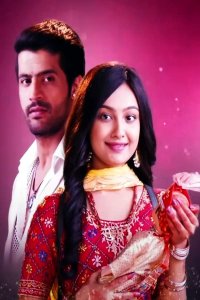 ������ � ������ ������������ ����� / Dilwali Dulha Le Jayegi (�� ������� �����)